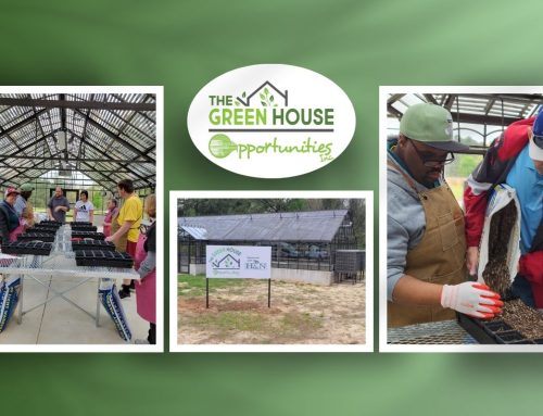 The Greenhouse Update